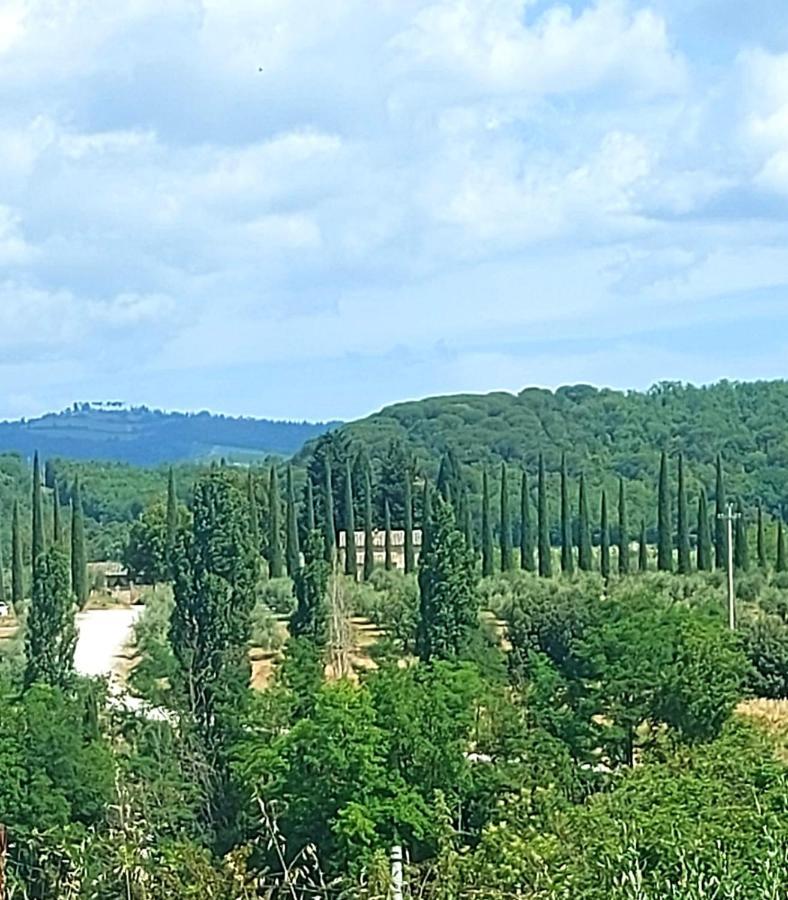 La Casa Di Elvira2 Villa Castelnuovo Berardenga Bagian luar foto