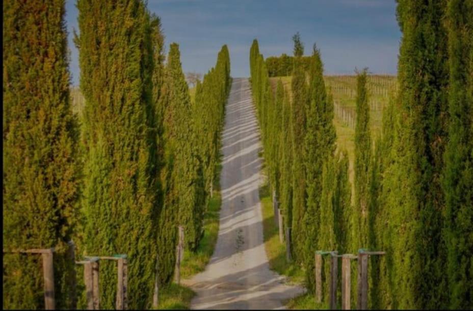 La Casa Di Elvira2 Villa Castelnuovo Berardenga Bagian luar foto