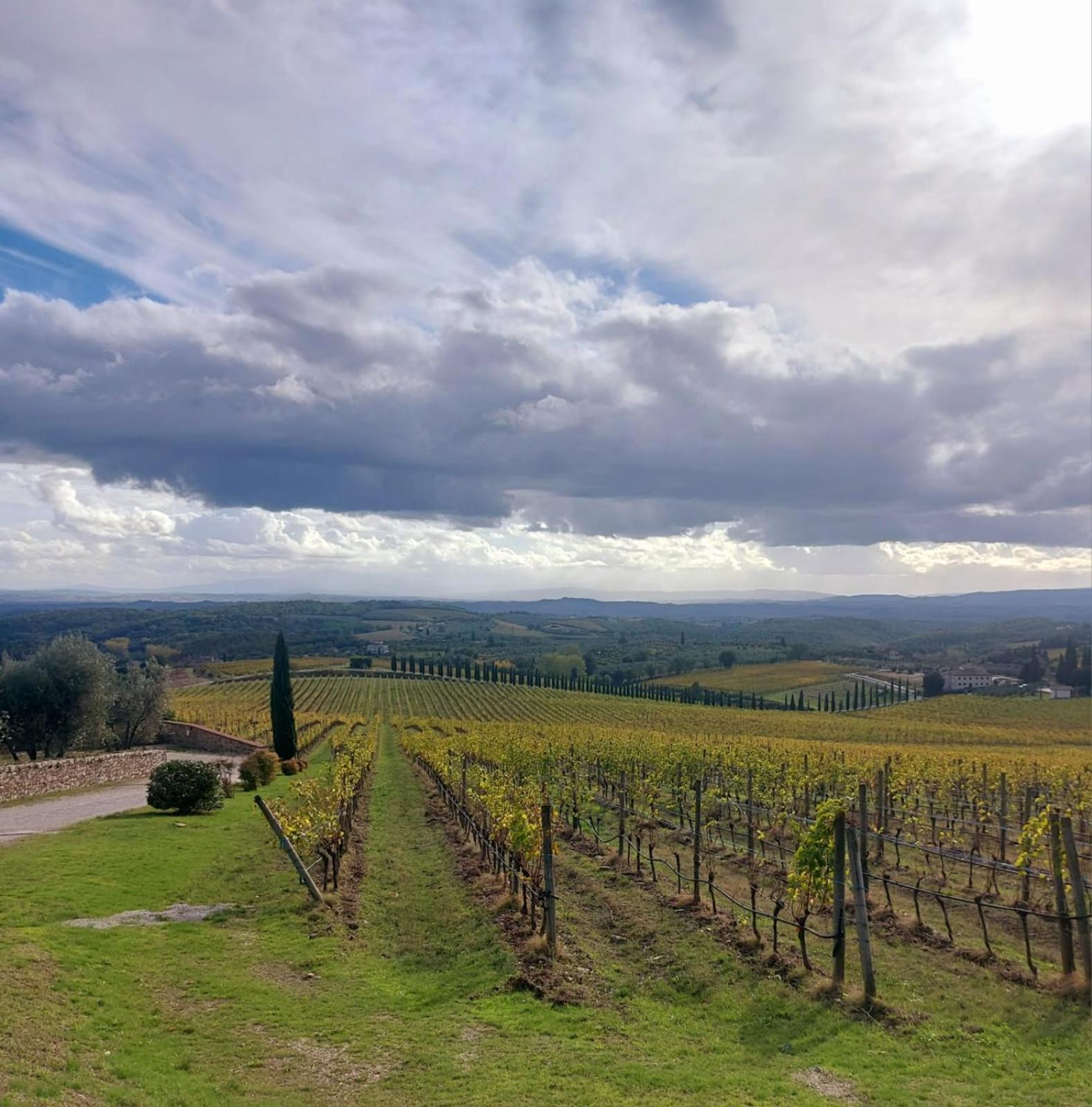 La Casa Di Elvira2 Villa Castelnuovo Berardenga Bagian luar foto